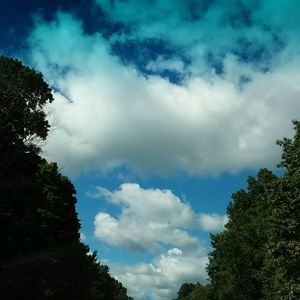 Meet your Posher, Wanda